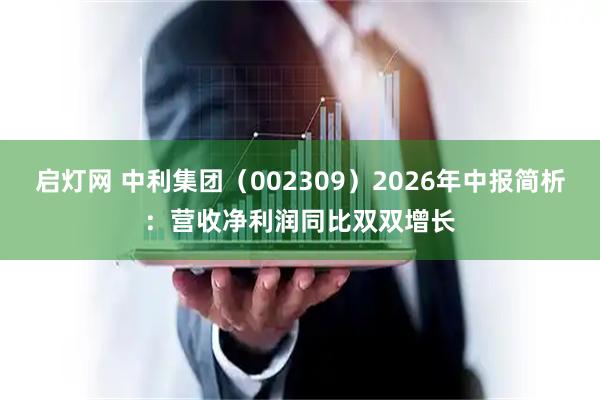 启灯网 中利集团（002309）2026年中报简析：营收净利润同比双双增长