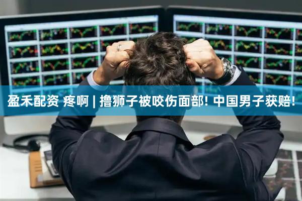 盈禾配资 疼啊 | 撸狮子被咬伤面部! 中国男子获赔!